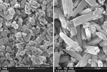 Microstructure of unpressed Celtra Press ingot compared to conventional ingot